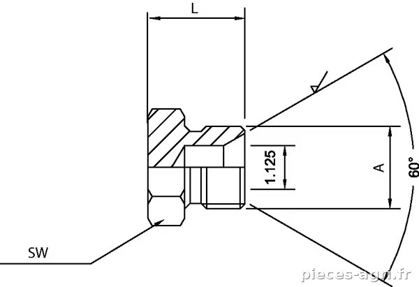 Bouchon a visser BSP 1" vue 2