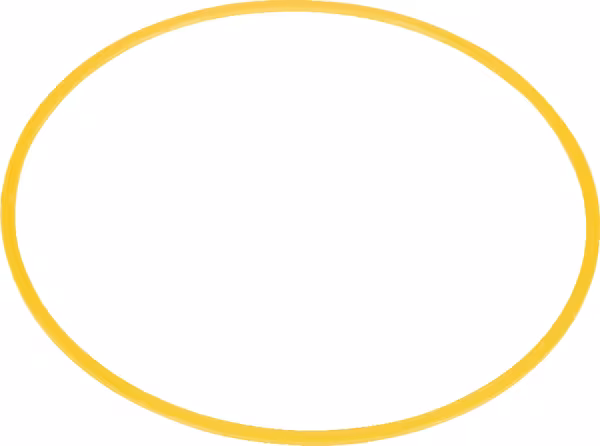 Bague 117,0x123,2-117,8x124,0 · réf. 10PBK247