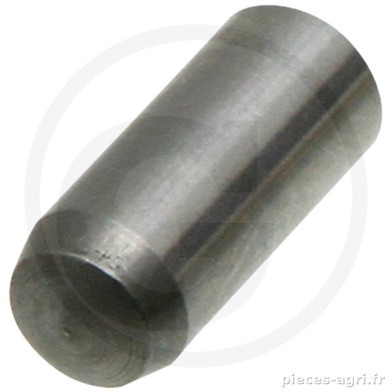 Scharmüller Goupille cylindrique vue 2