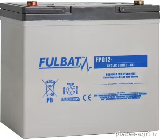 Batterie GEL 12 V 60 Ah · réf. FPG1260