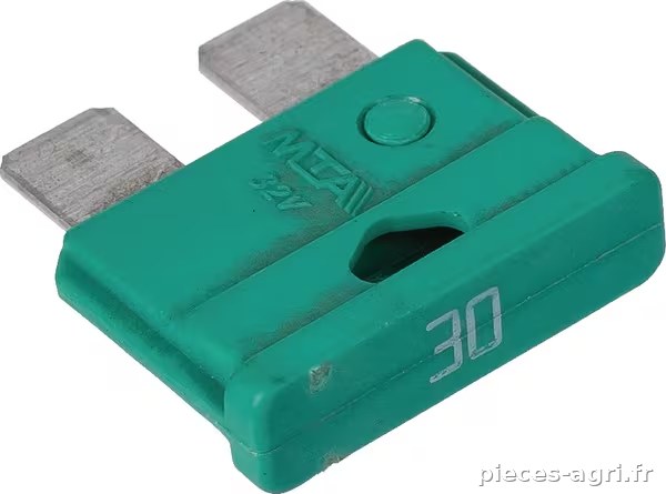 Fusible 30A · réf. 1134349607