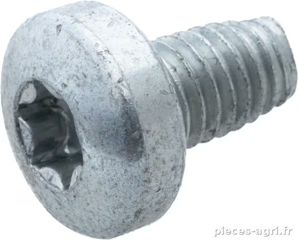 Vis Taptite M6x10 · réf. SA34450