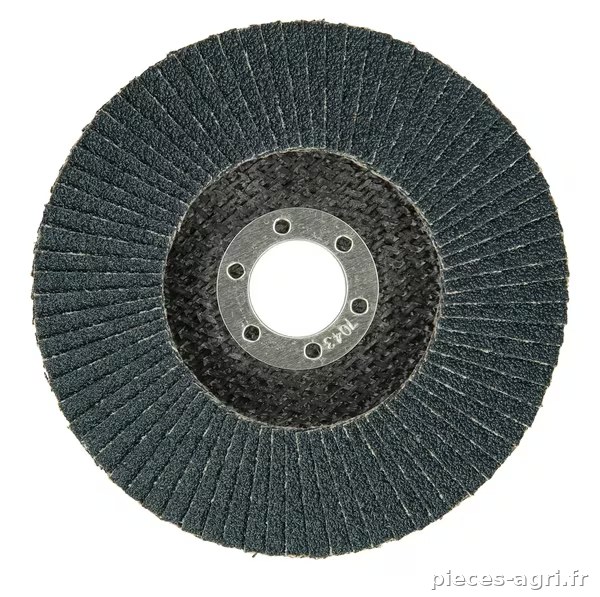 Papier abrasif de rodeuse 125 K60 · réf. 4100117