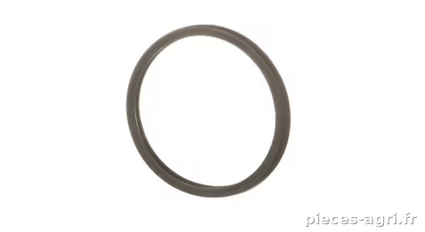 Joint de thermostat  · réf. 504030960FPT