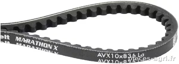 Courroie trapézoïdale Optibelt avx10-m1 l=835 · réf. 2440513