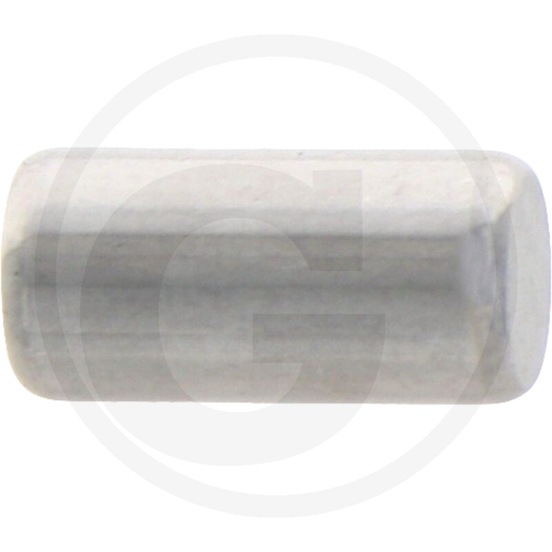 Carraro CYLINDRICAL ROLLER 5x10 vue 2