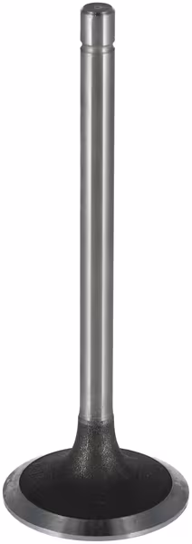 Soupape d'admission compatible avec New Holland · réf. 4824417KR