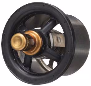 Thermostat · réf. 504096443FPT