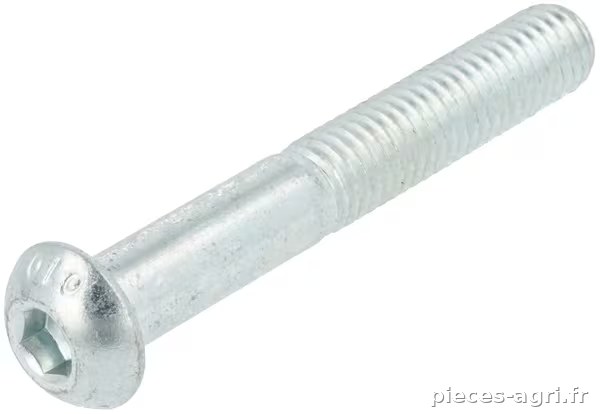 Vis DHC 8x55 cl10.9 zn DEG sans base (ISO 7380/1) · réf. 0300100802