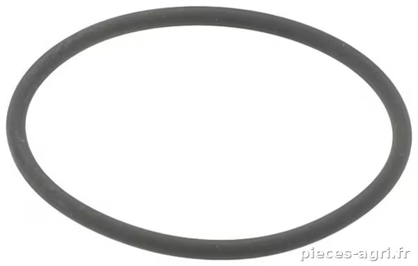 Joint torique 23,47 x 2,95 75 shore Viton 10x · réf. OR2347295VP010