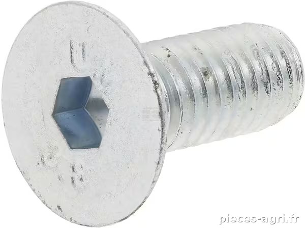 Vis noyée vue 2