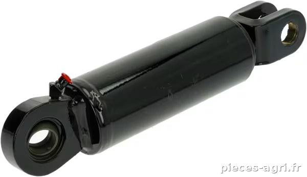 Vérin amortisseur 50/20x250/95 D20 · réf. 57510679