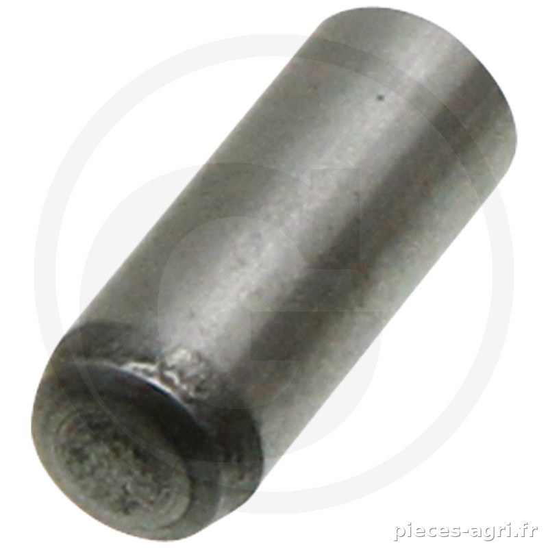 Scharmüller Goupille cylindrique vue 2