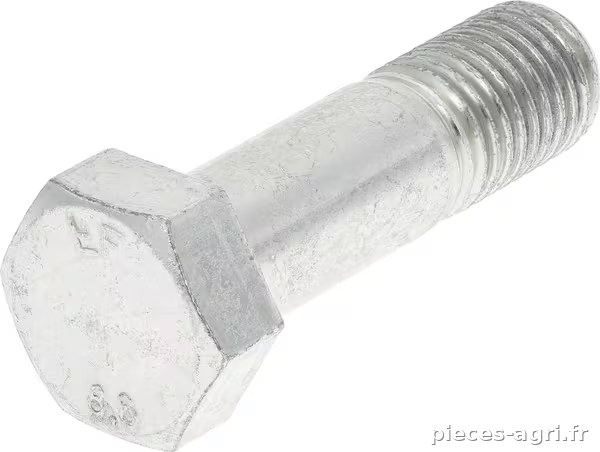 Boulon 20x70 8.8 Lemken · réf. 3014600