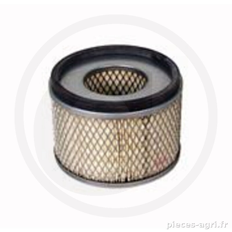 Fleetguard Filtre à air vue 2