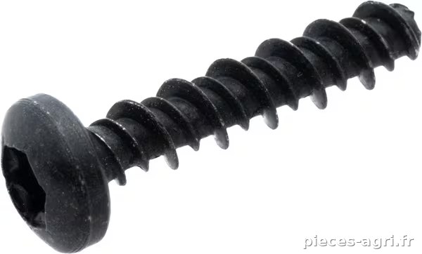 Vis à tête cylindrique 4,2 x 19 · réf. SA12182