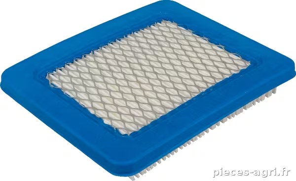 Filtre à air (4101) vue 3