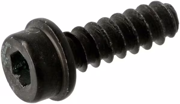 Vis PW5.5X16 · réf. 503214972
