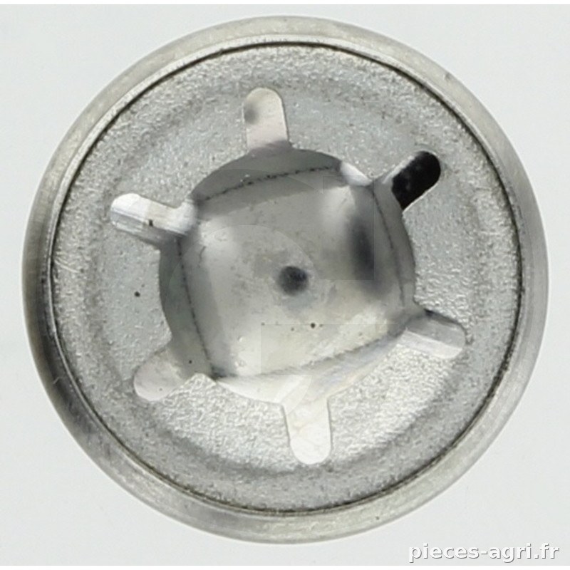 Scharmüller Bague vue 2