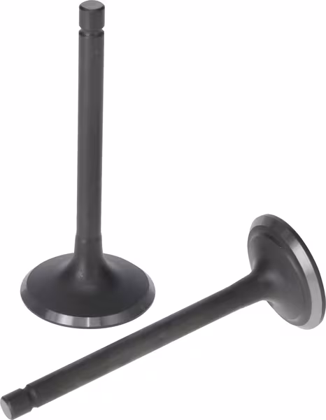 Kit de soupape · réf. 5005500320001