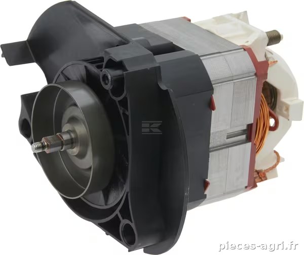 Moteur électrique 230 V/50 Hz vue 2