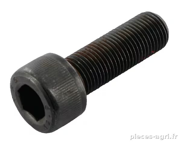 Boulon de lame p/ Wolf · réf. 0011420