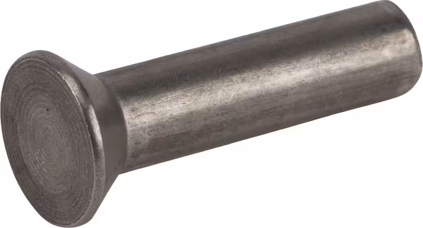 Rivet 5x20 0,5 kg · réf. 5440171AD