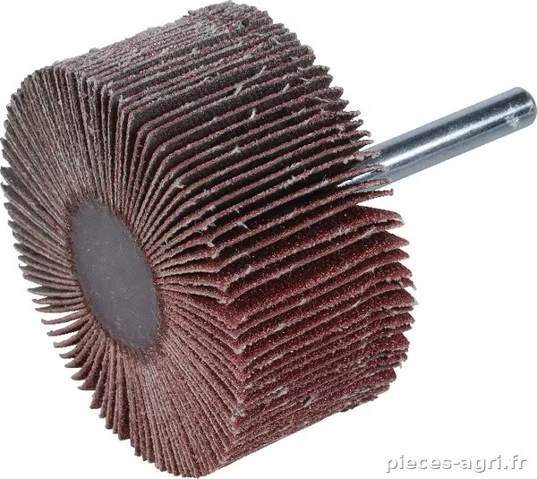 Lamelles tige 60 x 30 x 6 K80 · réf. 63642531865