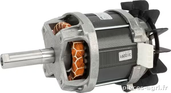 Moteur électrique 2200watt m/rem TCS · réf. AK517064