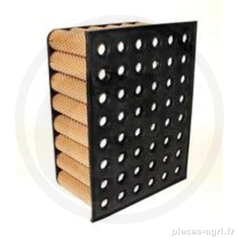 Fleetguard Filtre à air intérieur vue 2