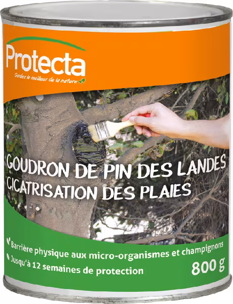 Goudron cicatrisant 800gr · réf. PVCIC02010