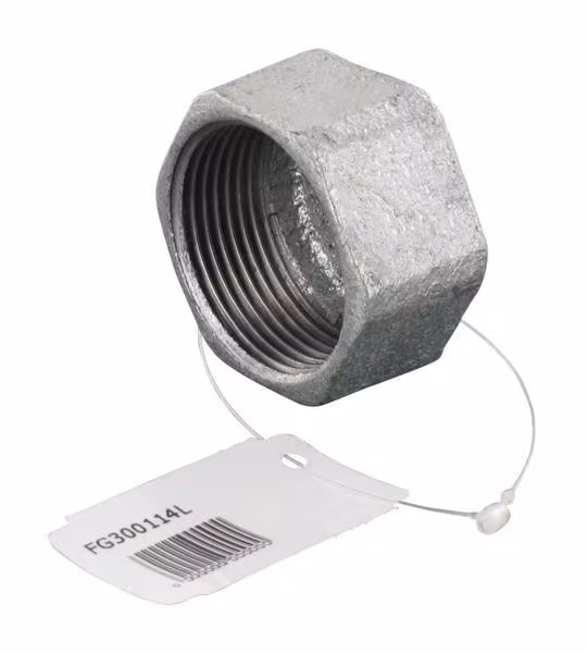 Bouchon hexagon zingué 1 1/4" · réf. FG300114L