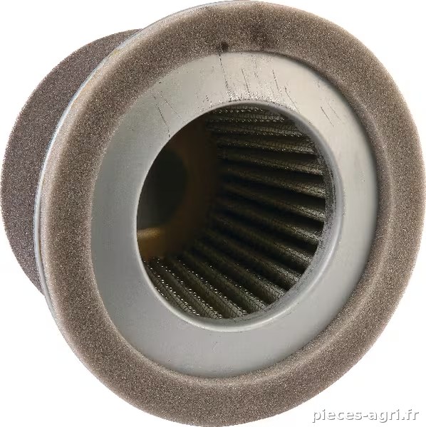 Cartouche de filtre à air vue 2