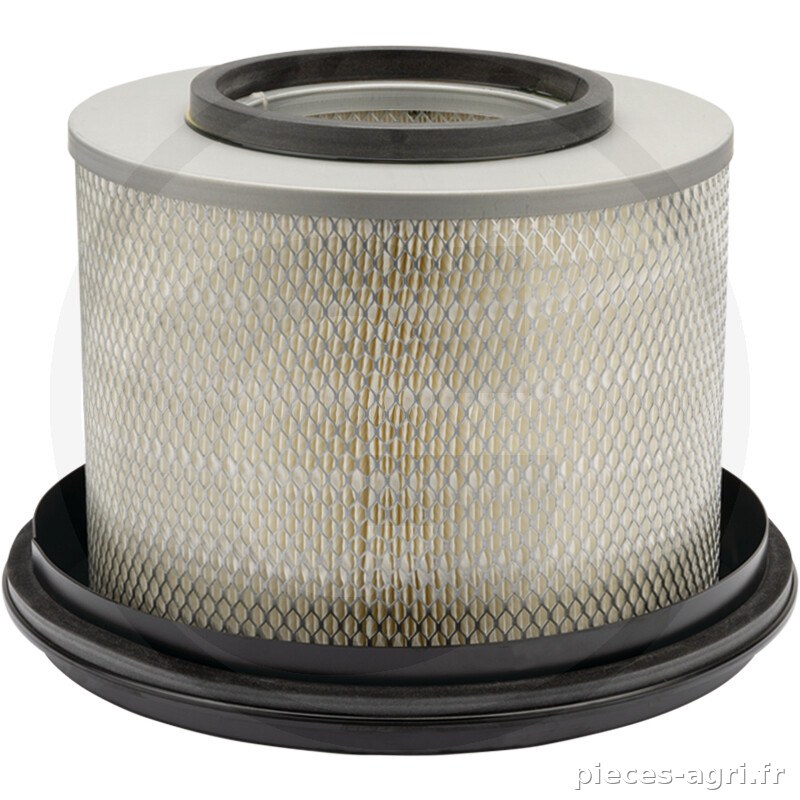 Fleetguard Filtre à air vue 2