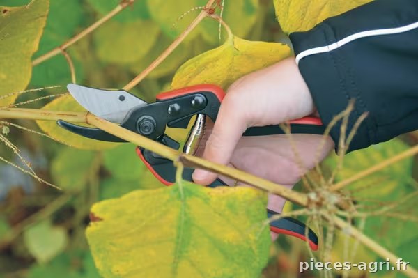 Sécateur Felco Essentiel 160S vue 3