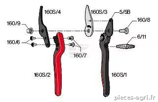 Sécateur Felco Essentiel 160S vue 4