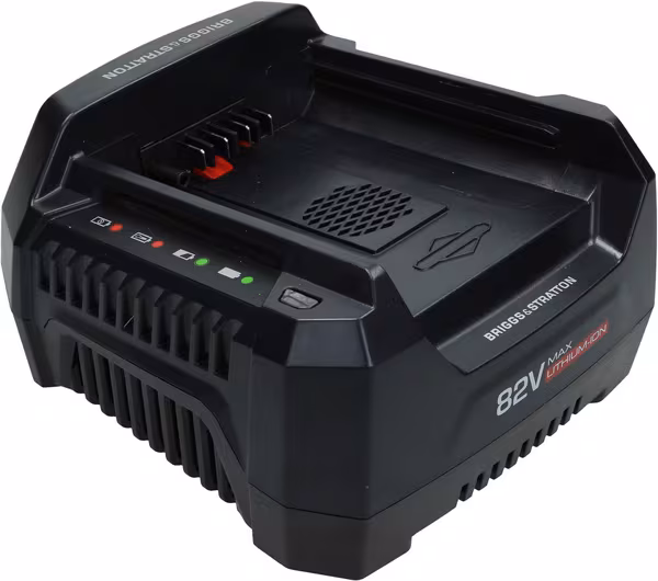 Chargeur de batterie 220v Briggs & Stratton · réf. 1760264