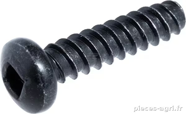 Vis en plastite · réf. 1087476