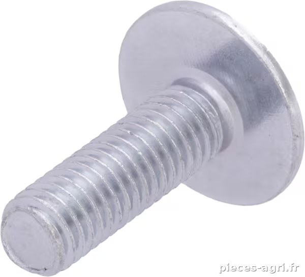 Boulon vue 2