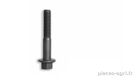Boulon hexagonal · réf. 4895483FPT