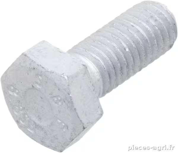 Boulon hexagonal · réf. 16605528FPT