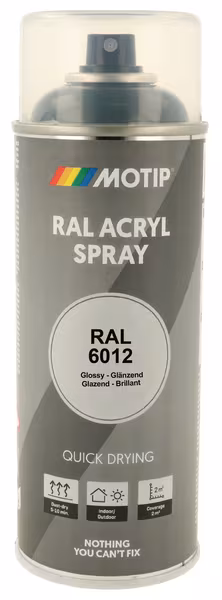 RAL 6012 spray vert noir · réf. 07011