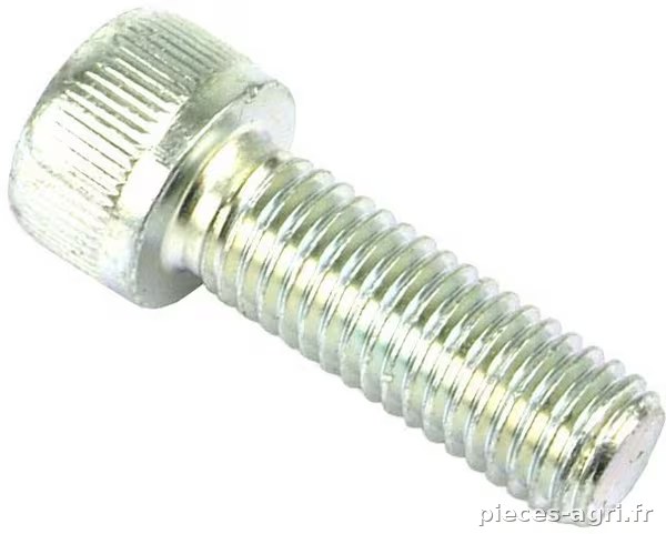 Boulon à tête cylindrique (x10) · réf. VLG5662