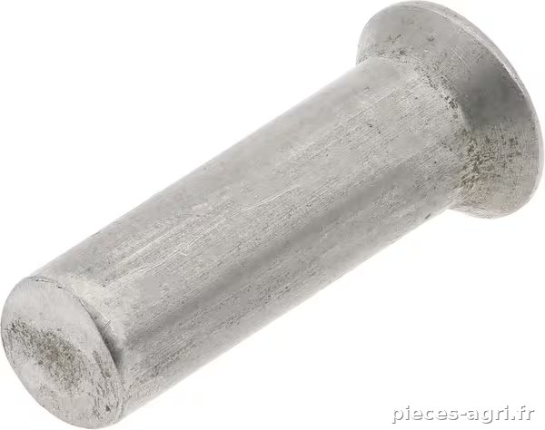 Rivet à tête fraisée 6 x 20 mm · réf. IG011001