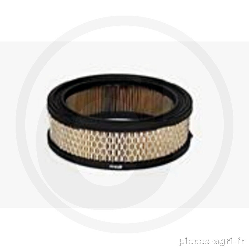 Fleetguard Filtre à air vue 2