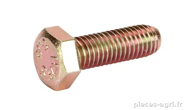 Boulon Amazone 8x25 8.8 · réf. DC035