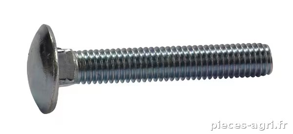 Boulon M8x50 DIN 603-4.6 · réf. 7101719