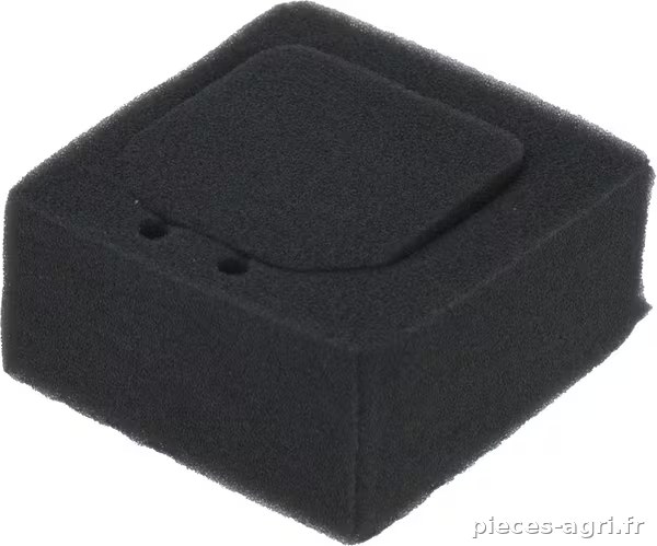 Filtre à air vue 2