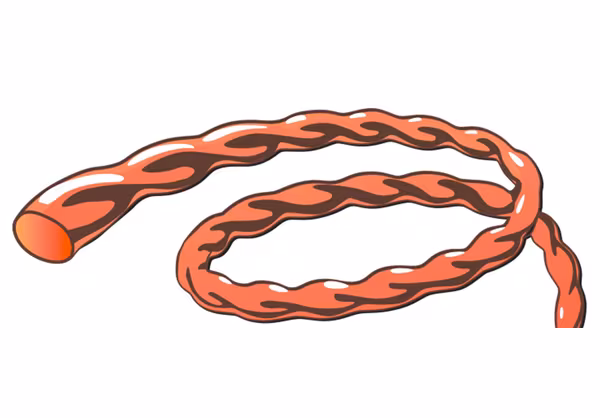 Fil nylon 4.3mm 111m twist, Vortex Alu vue 3
