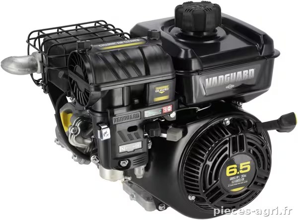 Moteur, horizontal, 6,5 HP, Vanguard, Briggs & Stratton · réf. 12V3320034F1